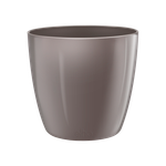 brussels diamond round 14cm oyster pearl